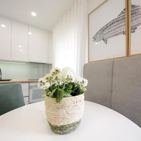 Apartamento A Casinha Avó Mariana 53